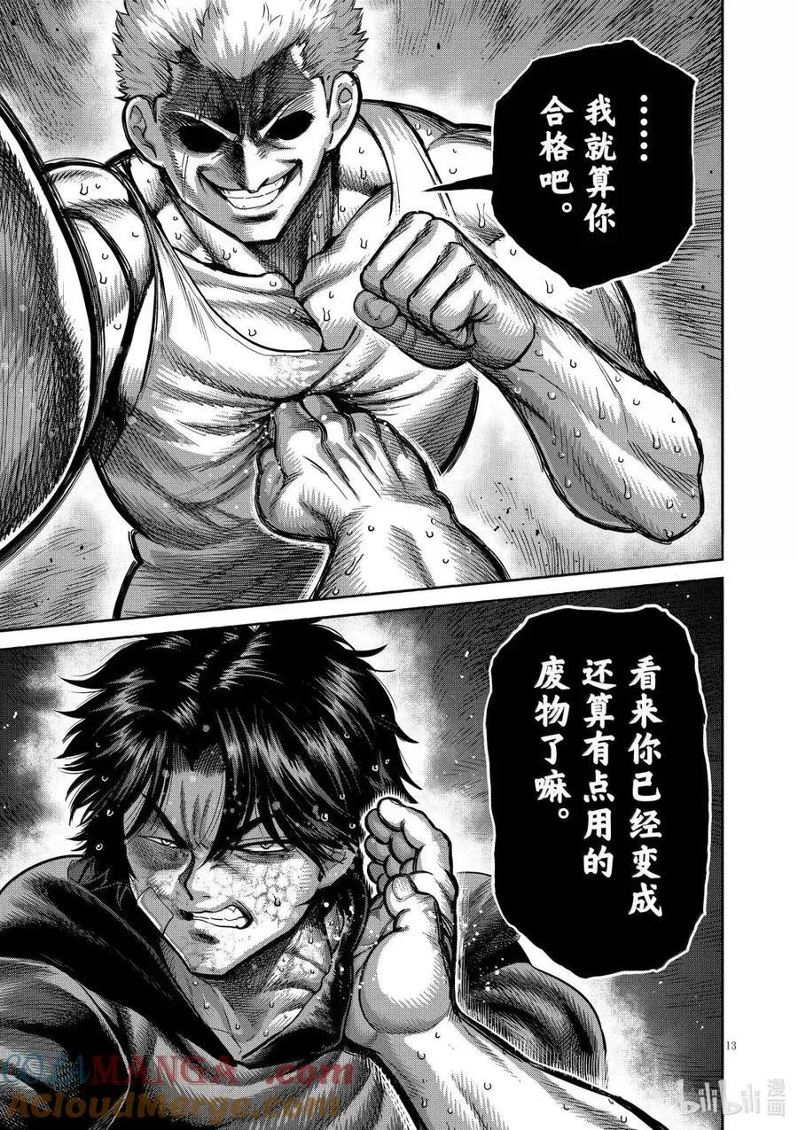 307 升龙点穴 第13页
