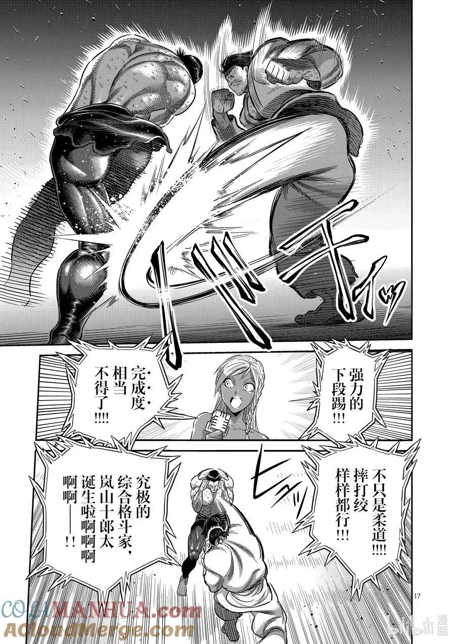 225 我的领域 第17页