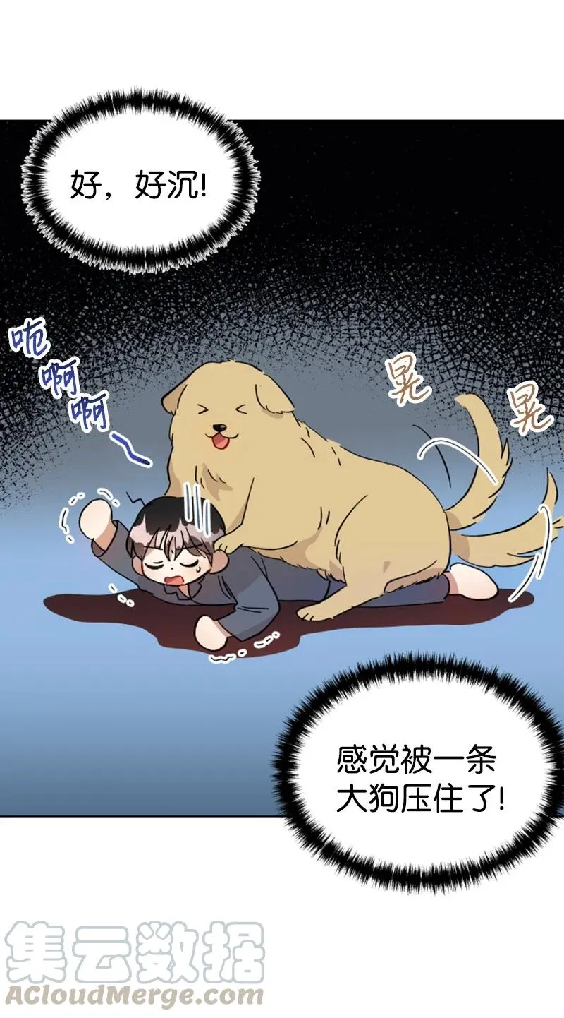 04 新搬来的邻居 第16页