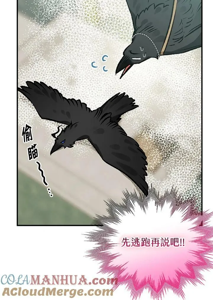 第66话 第17页