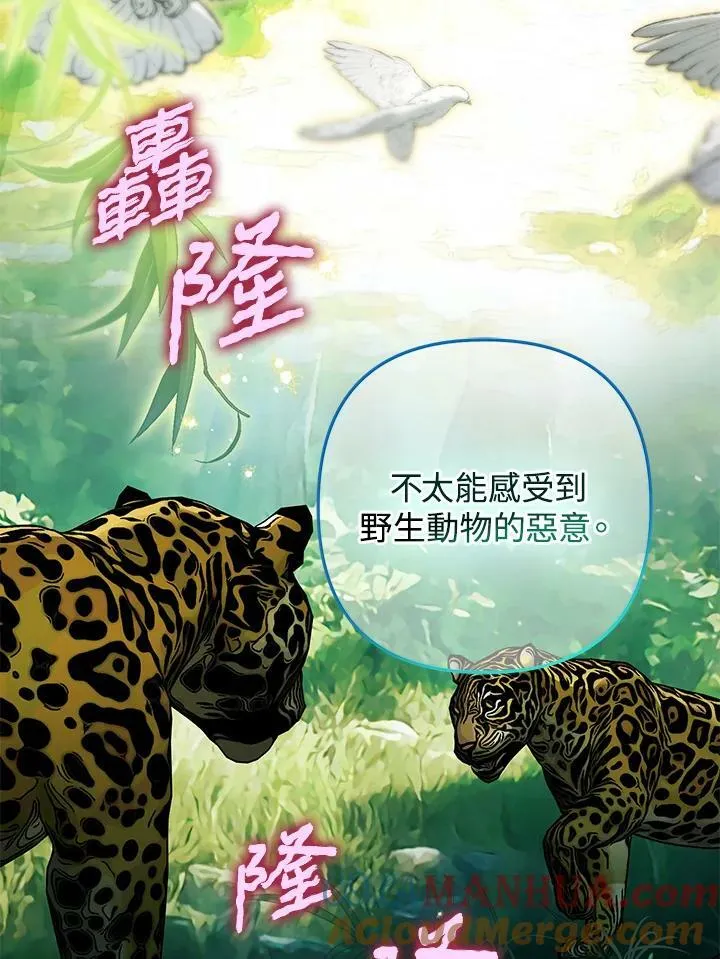 第66话 第33页