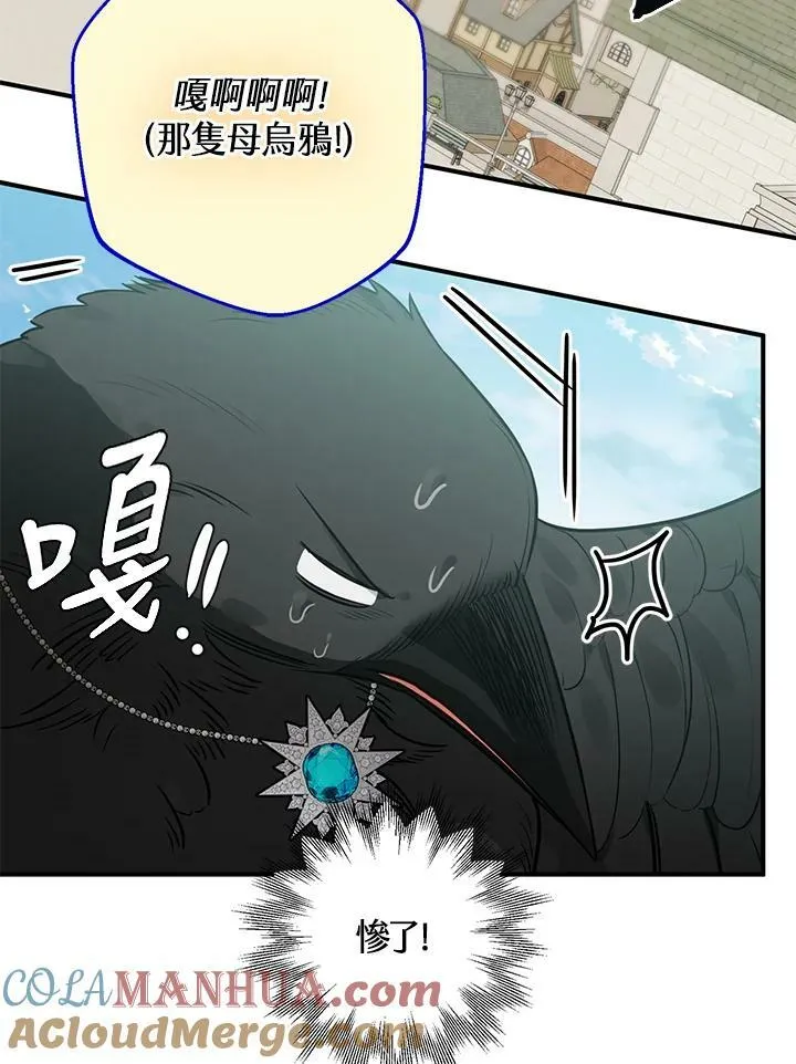 第66话 第65页