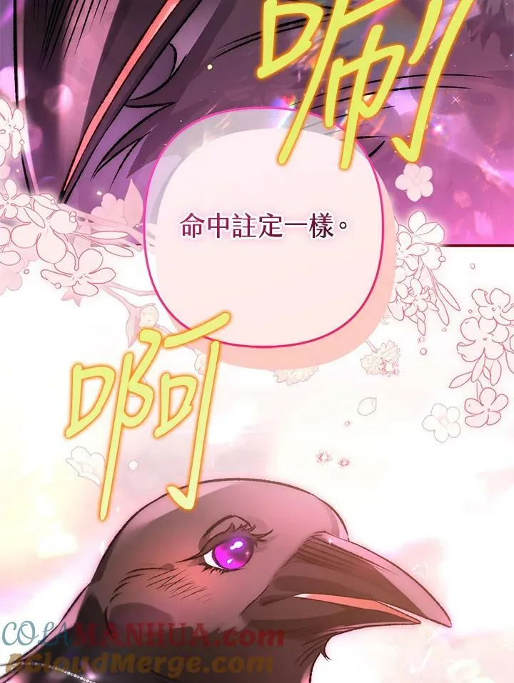 第67话 第101页