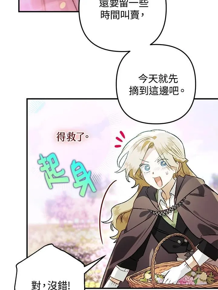 第75话 第31页