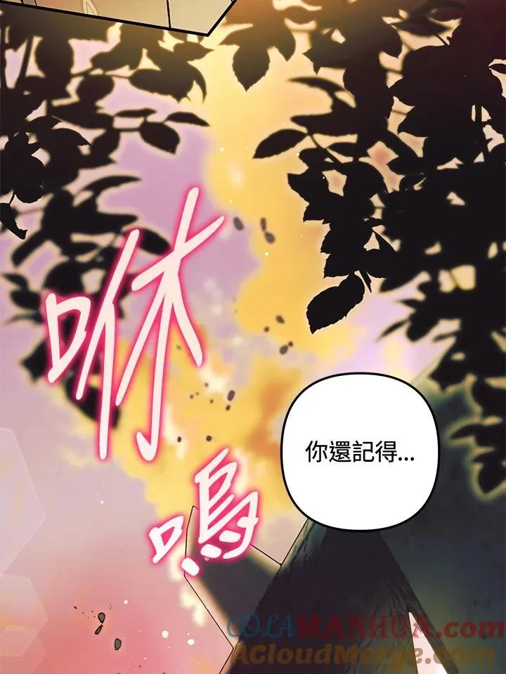 第77话 第13页