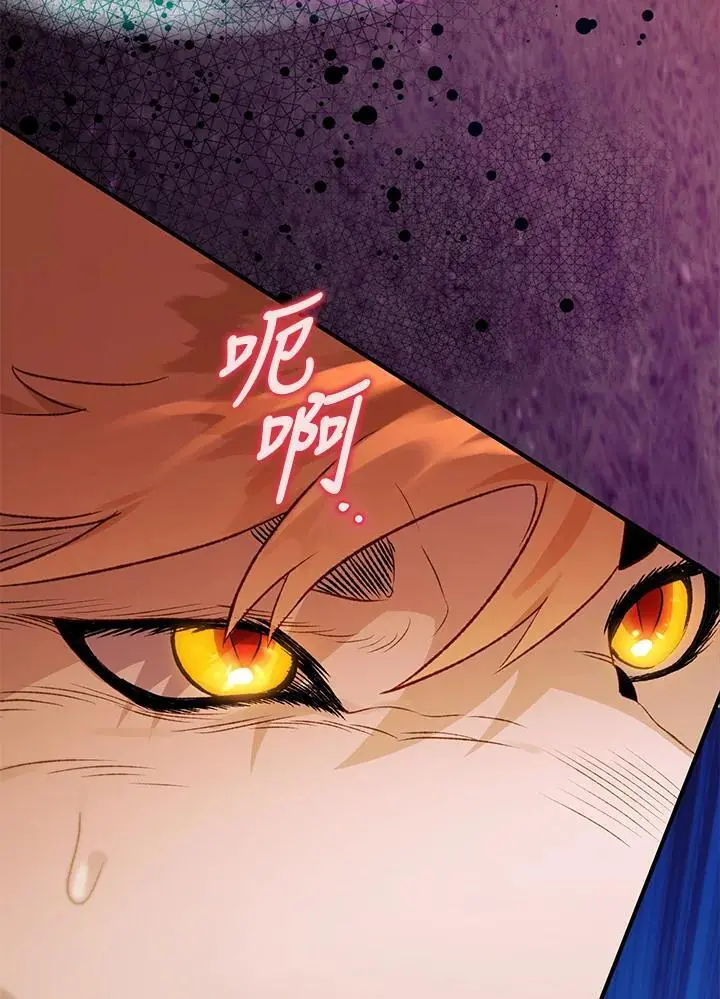 第88话 第66页