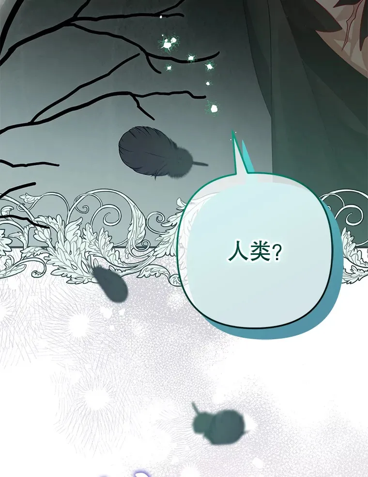 外传2.一生的探索 第39页
