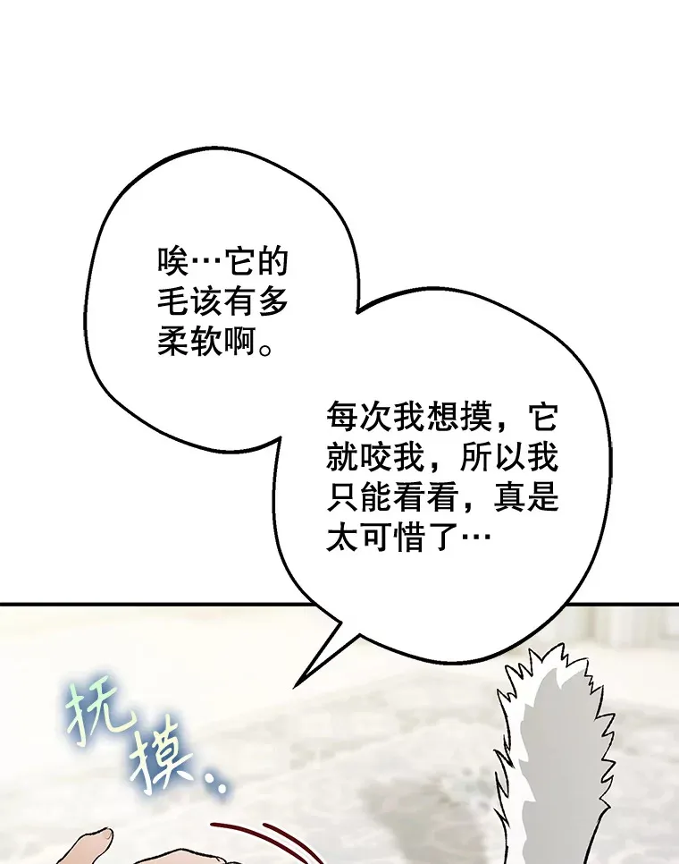 外传5.进度太慢 第41页