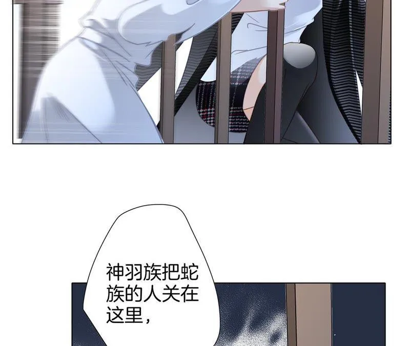 第42话 金翅鸟 第14页
