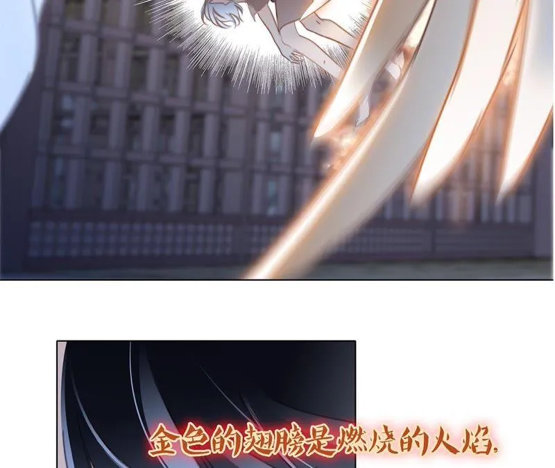 第42话 金翅鸟 第24页