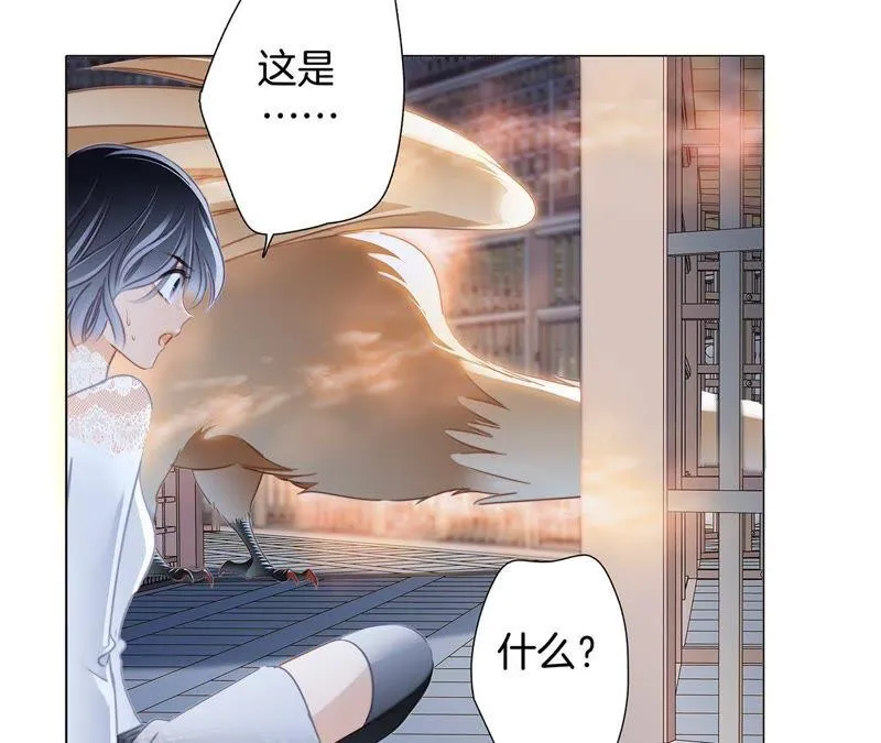 第42话 金翅鸟 第32页