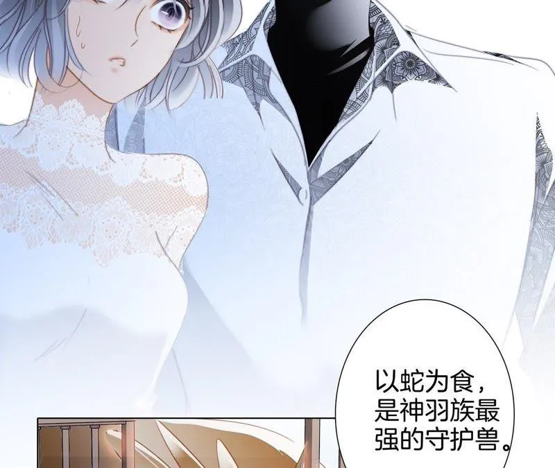 第42话 金翅鸟 第34页