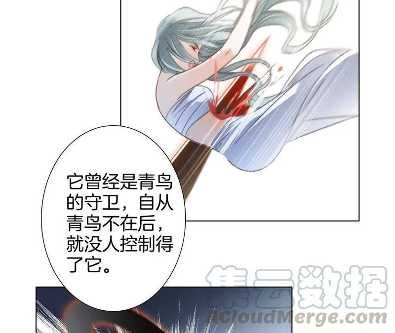 第42话 金翅鸟 第36页