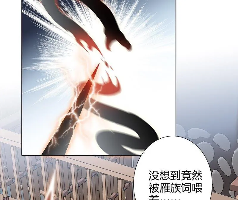 第42话 金翅鸟 第37页
