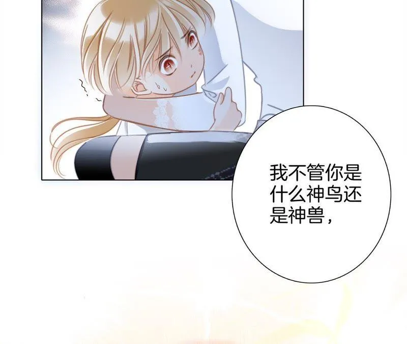 第42话 金翅鸟 第47页