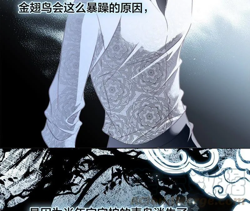 第42话 金翅鸟 第78页