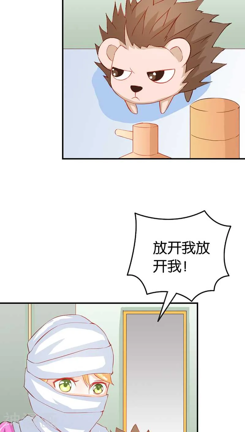 第41话 谁敢动我的人！ 第7页