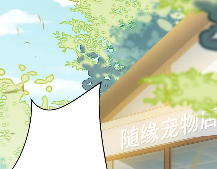 003 异发色小孩 第40页