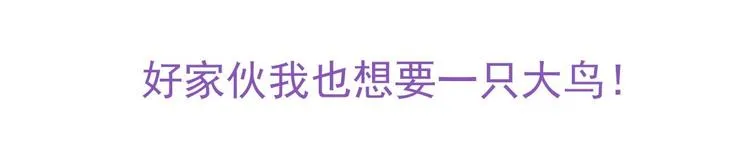015 迦拉是个小憨憨 第128页