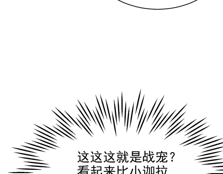 018 战宠契约 第51页