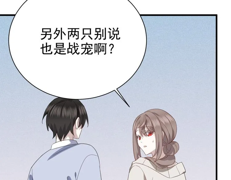 018 战宠契约 第60页