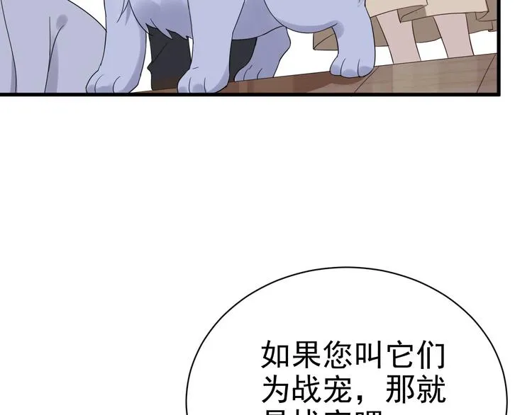 018 战宠契约 第62页