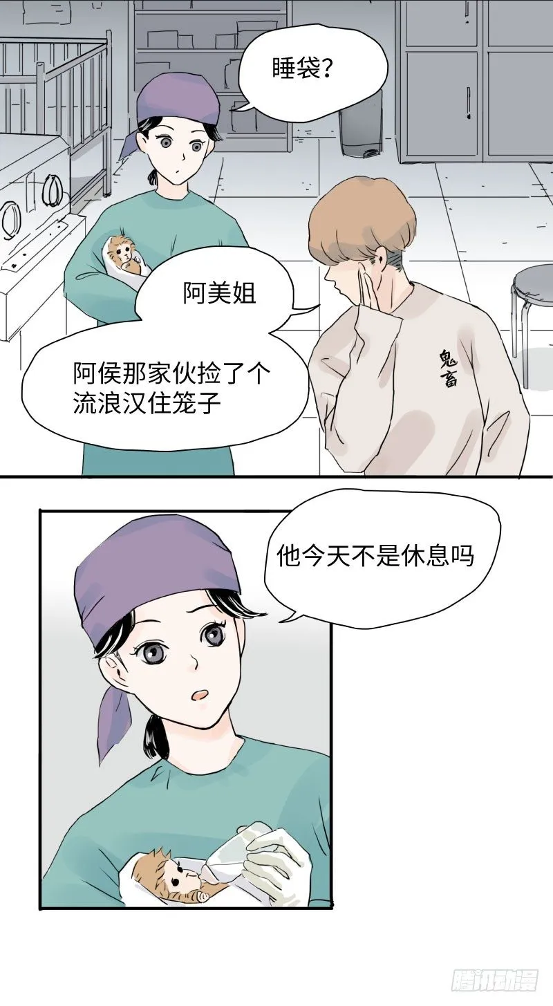 留宿动物园（上） 第13页