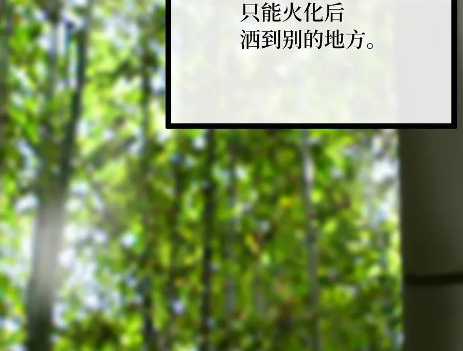 239.局势逆转 第146页
