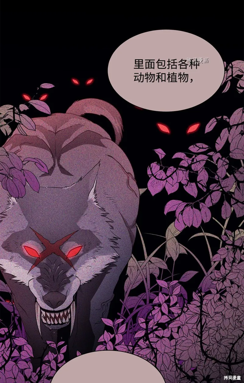 第58话 第51页