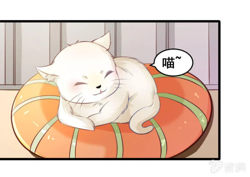 我们的初衷 第11页