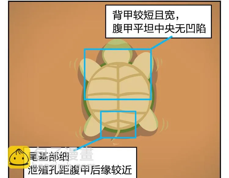 第31话 寻找小柴 第50页