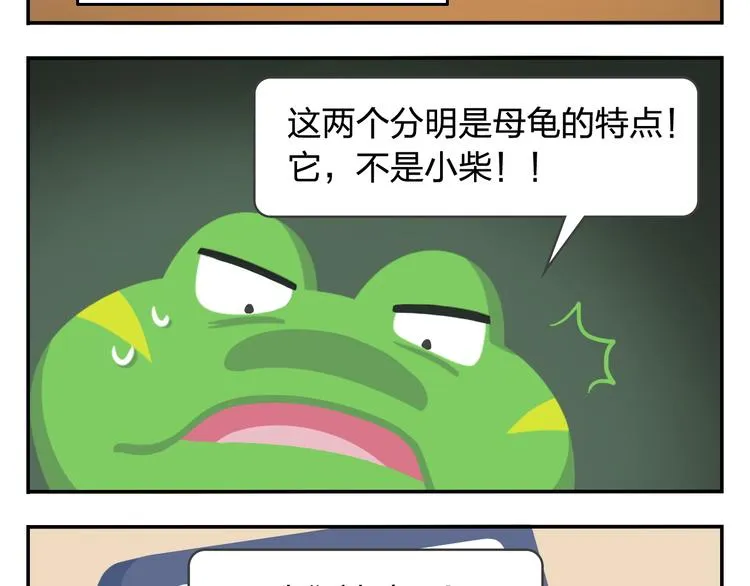 第31话 寻找小柴 第51页