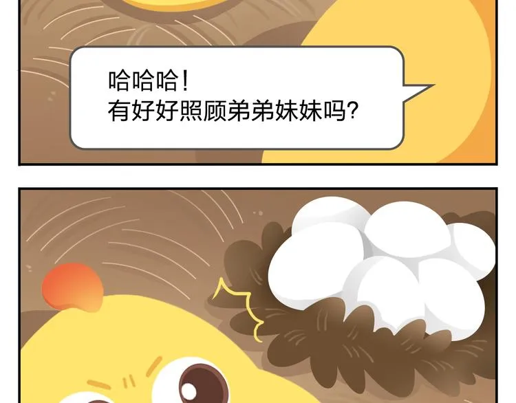 第34话 我要为你生小鸟子！ 第28页