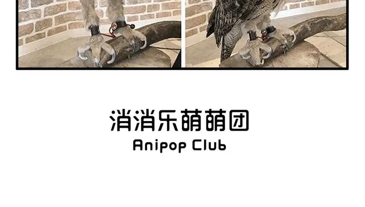 消消乐萌萌团番外08—10 第6页