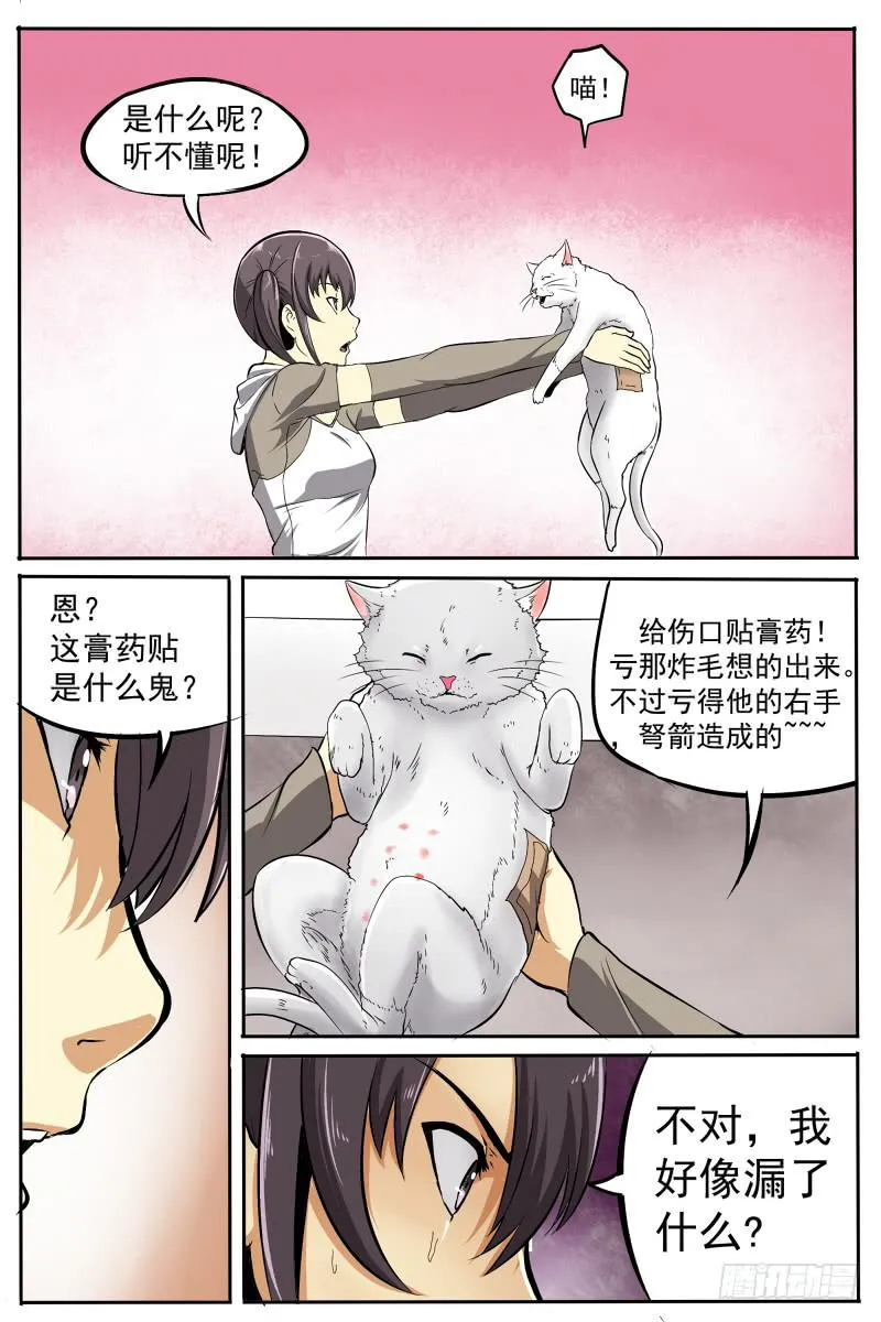 16 第8页
