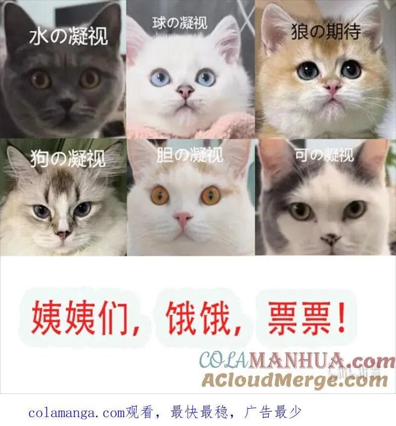 222 第两百一十话被绑架了，危险 第31页