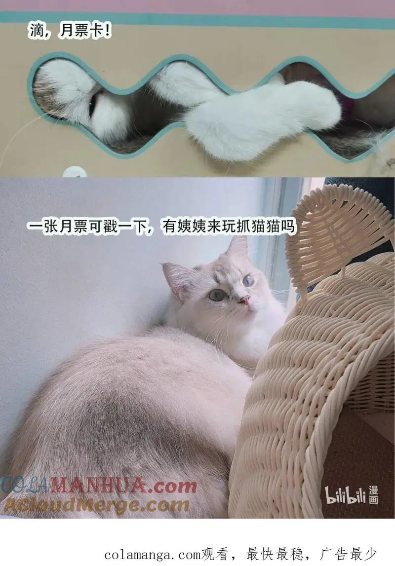 223 第两百一十二话我的爱人 第33页