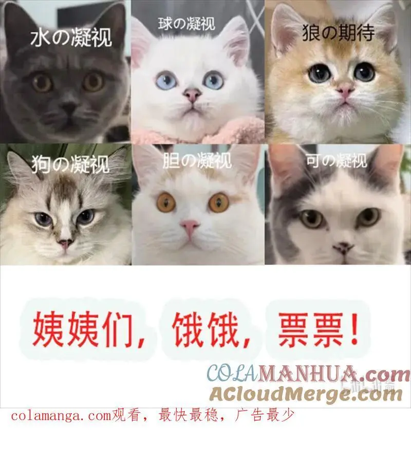 224 第两百一十三话回到游戏世界 第33页