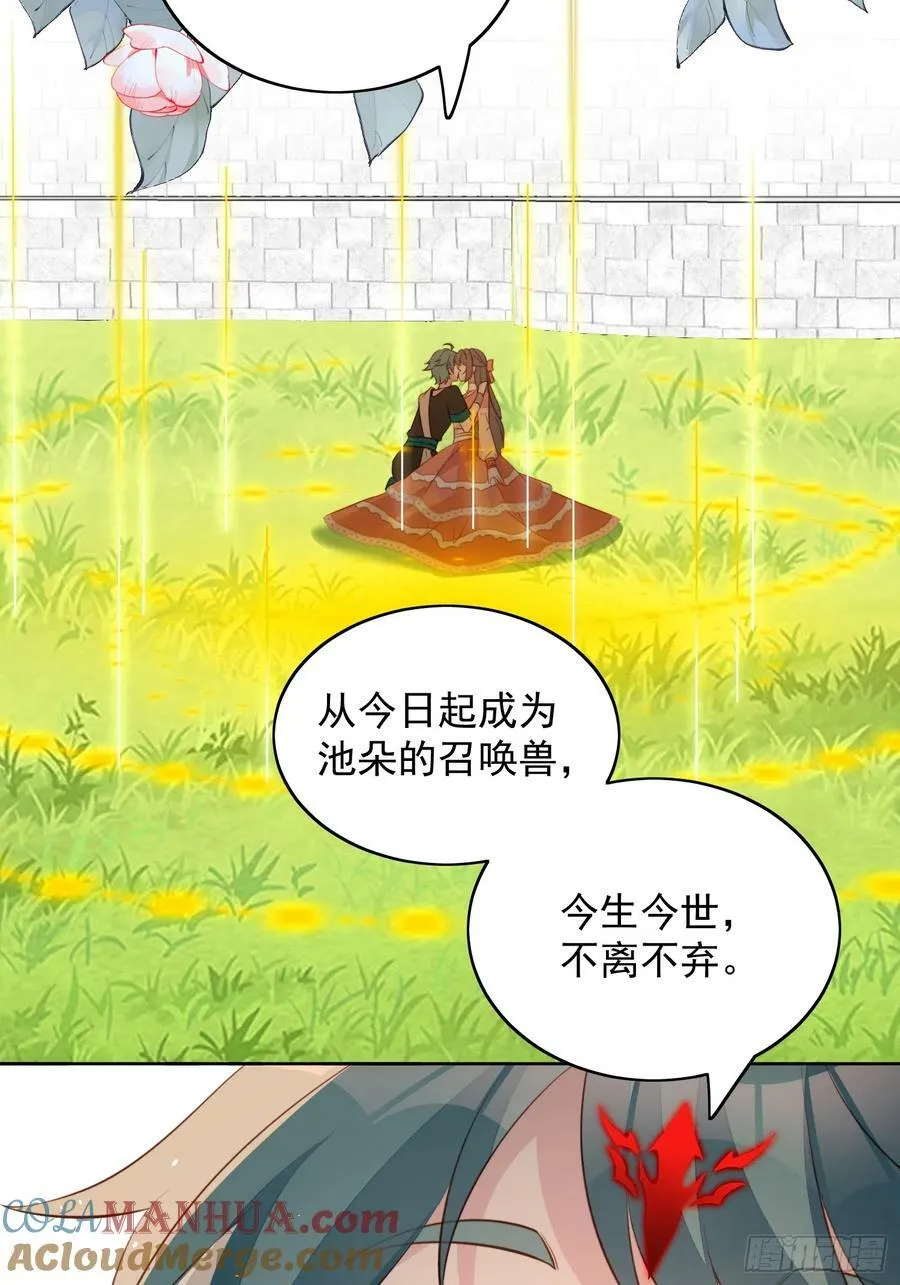 第133话 灵宠契约 第13页
