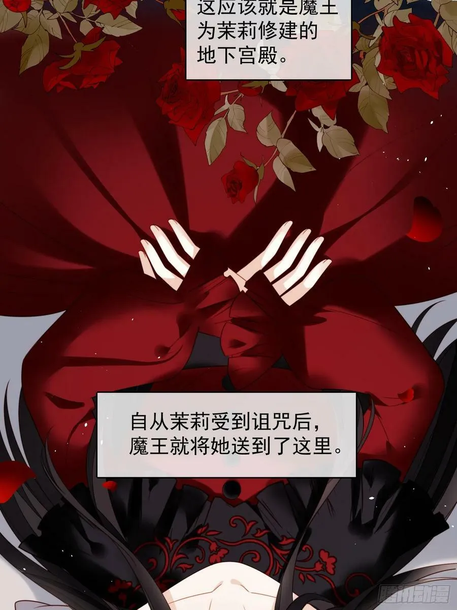 第133话 灵宠契约 第20页