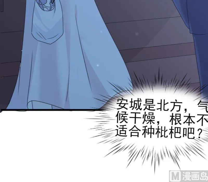 第34话 庭有枇杷树 第13页