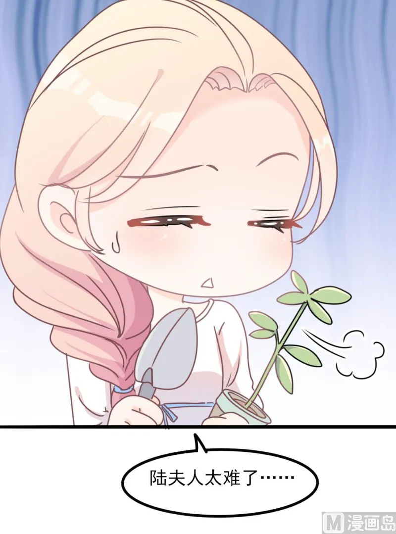 第34话 庭有枇杷树 第15页