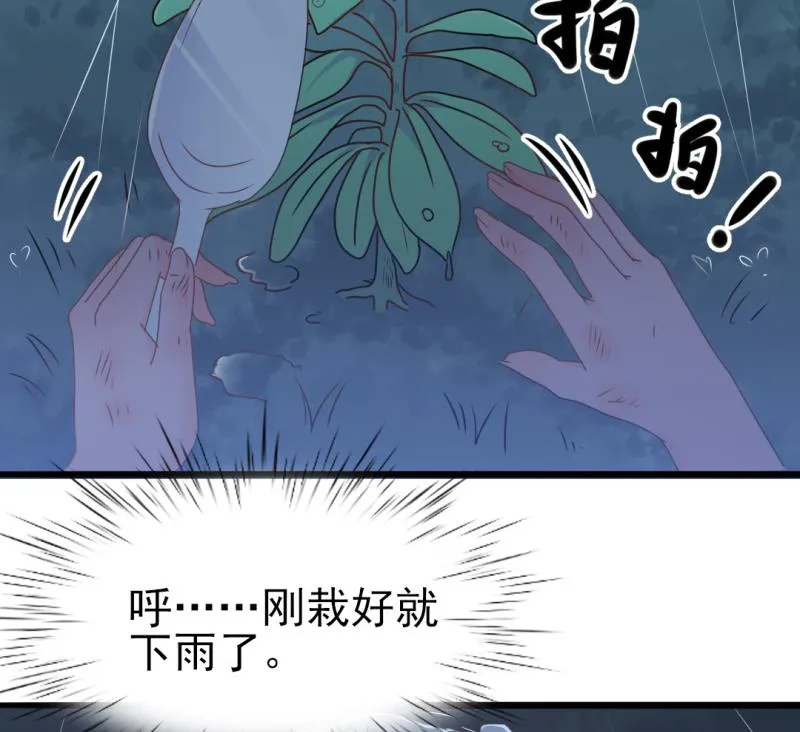 第34话 庭有枇杷树 第40页