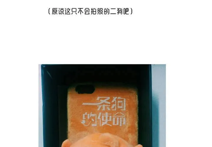 第54话 第76页