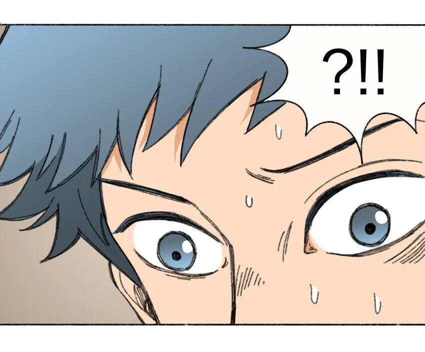 006 直播计划 第13页