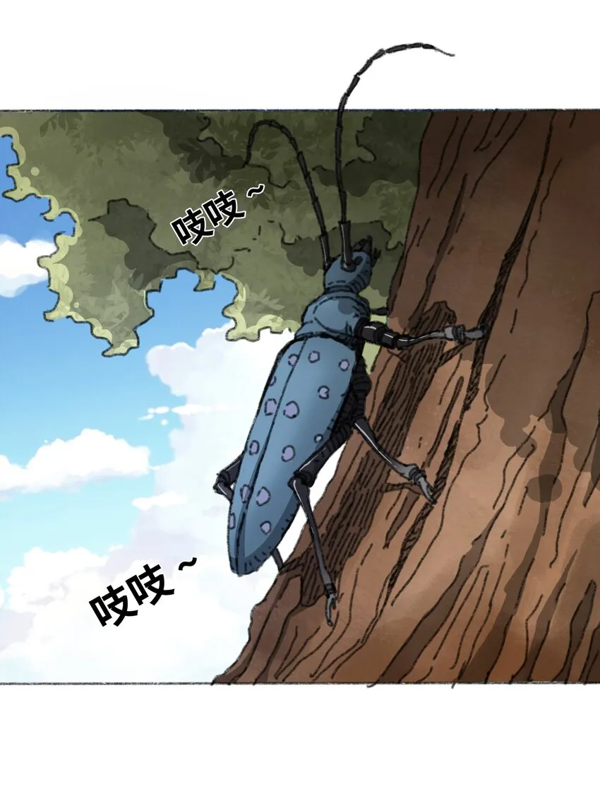 011 再次见面 第2页