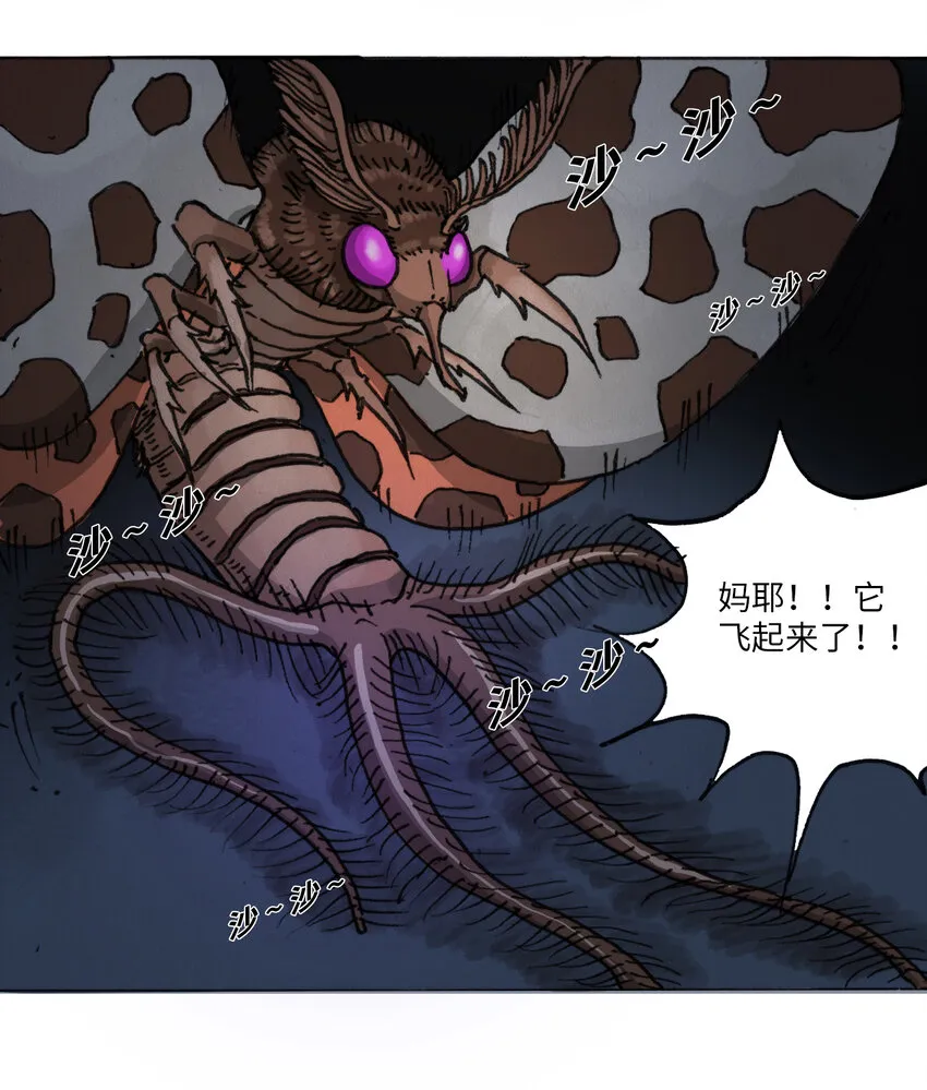 014 死斗巨蛾 第5页
