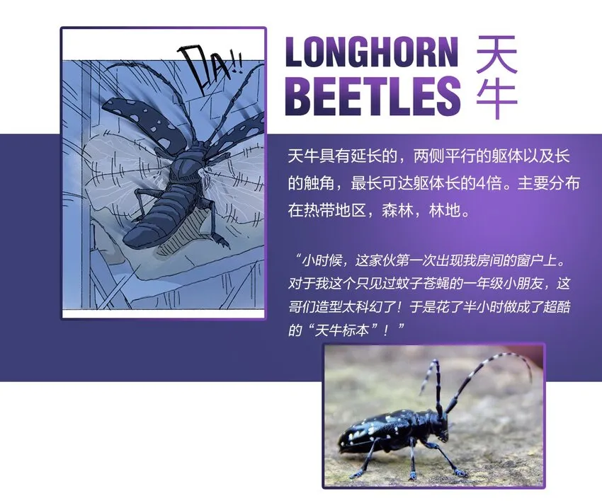 百科 虫男大百科 第2页
