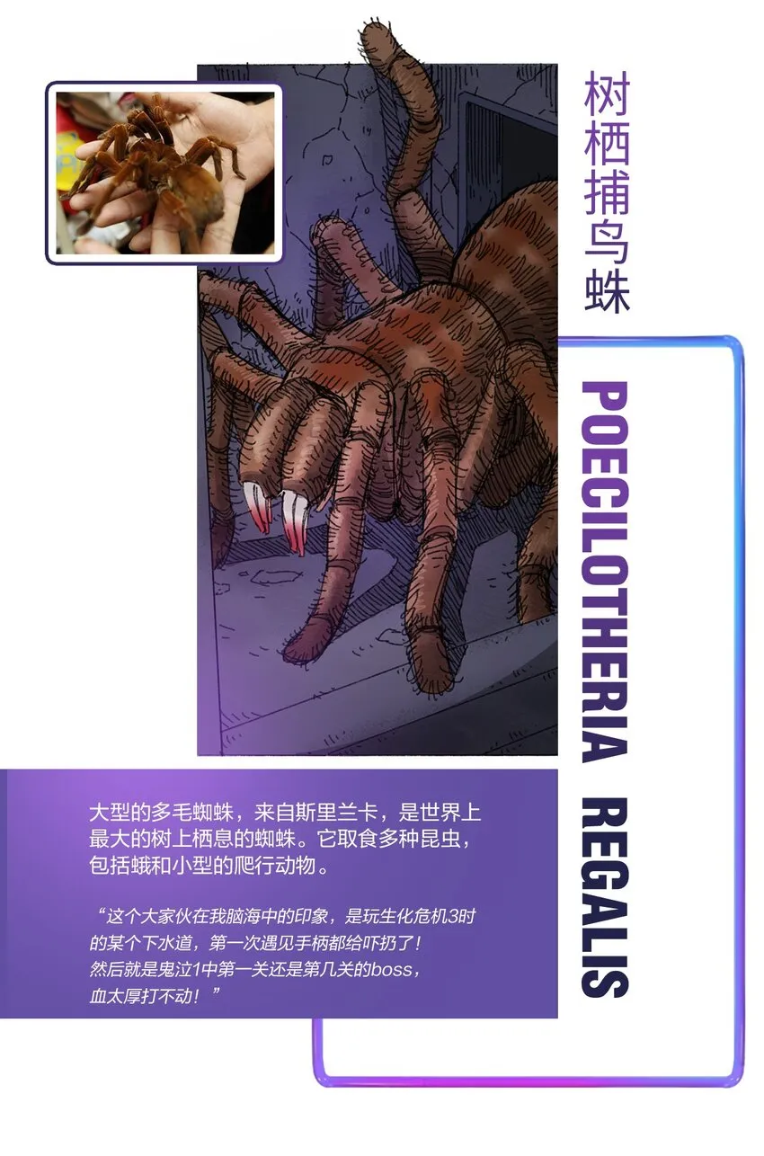 百科 虫男大百科 第3页