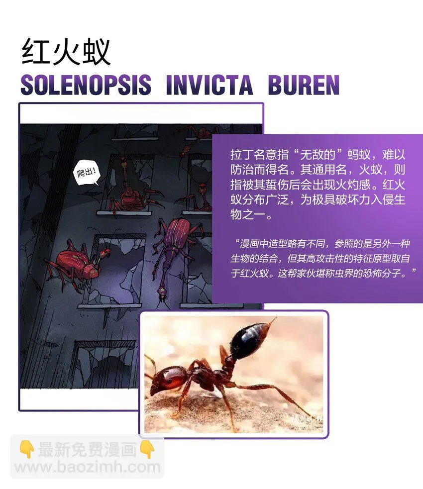 百科 虫男大百科 第4页